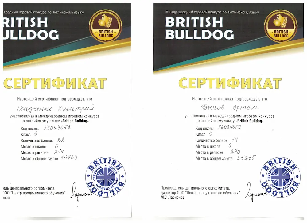Диплом British Bulldog